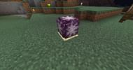 Chorus flower on end stone (Image via Minecraft)